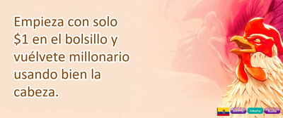 Cashback Semanal promotion